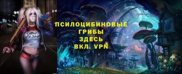 эйфоретик Аркадак