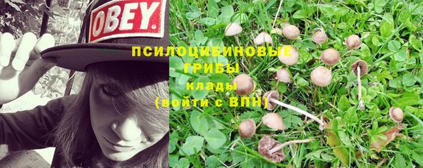 гашишное масло Баксан