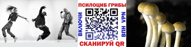 Галлюциногенные грибы Magic Shrooms  где продают наркотики  Макарьев 