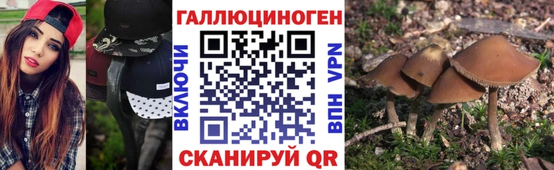 Галлюциногенные грибы мицелий Макарьев