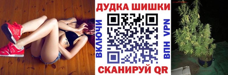 купить  цена  Макарьев  Бошки Шишки сатива 